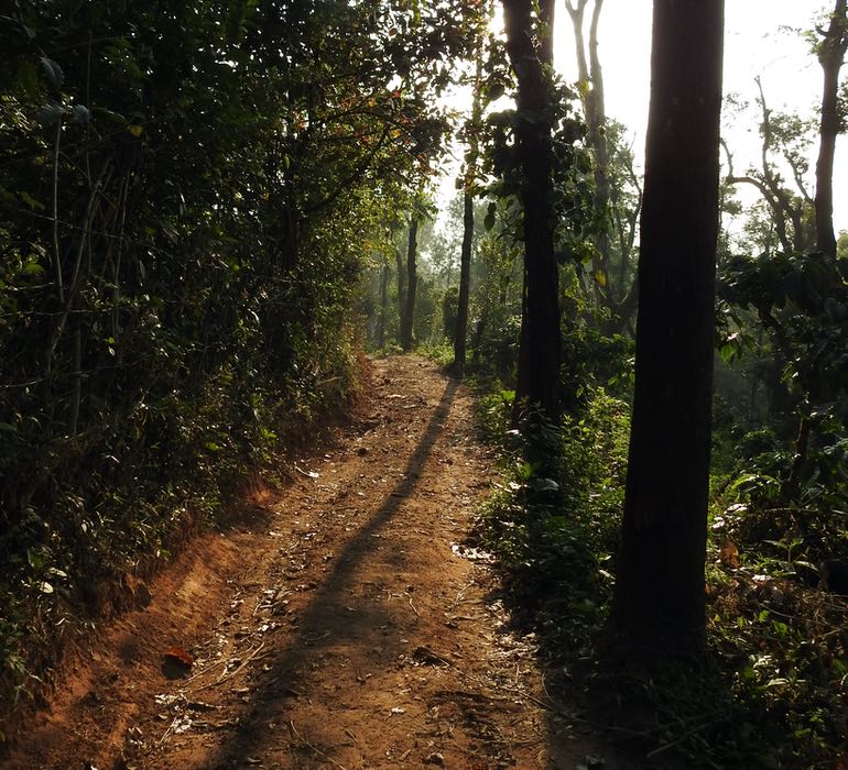 Adventure Activities and Trekking - Coorg Wilderness Resort