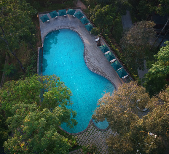 Infinity Swimming Pool - Coorg Wilderness Resort & Spa