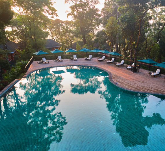 Infinity Swimming Pool - Coorg Wilderness Resort & Spa