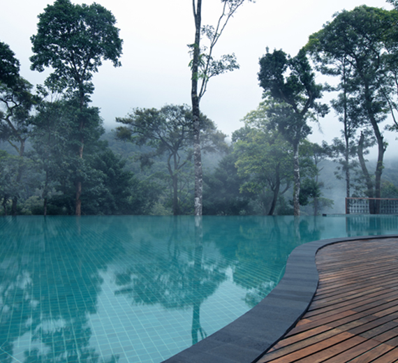 Infinity Swimming Pool - Coorg Wilderness Resort & Spa