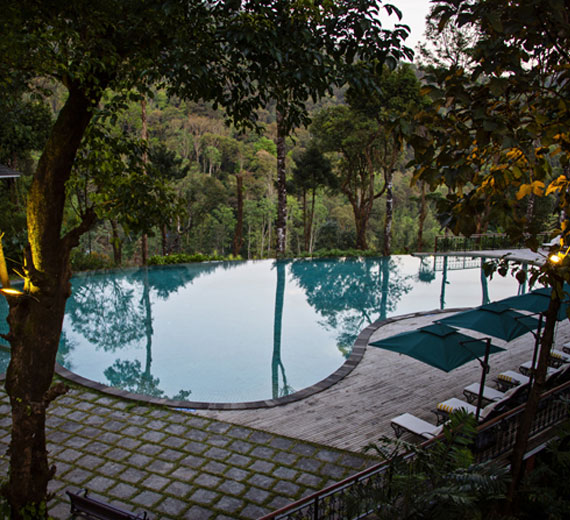 Infinity Swimming Pool - Coorg Wilderness Resort & Spa