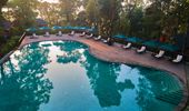 Infinity Swimming Pool - Coorg Wilderness Resort & Spa