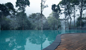 Infinity Swimming Pool - Coorg Wilderness Resort & Spa