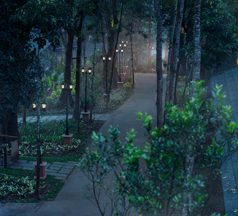 Pathway - Coorg Wilderness Resort