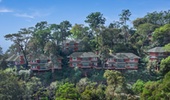 Hill View Suites - Coorg Wilderness Resort & Spa
