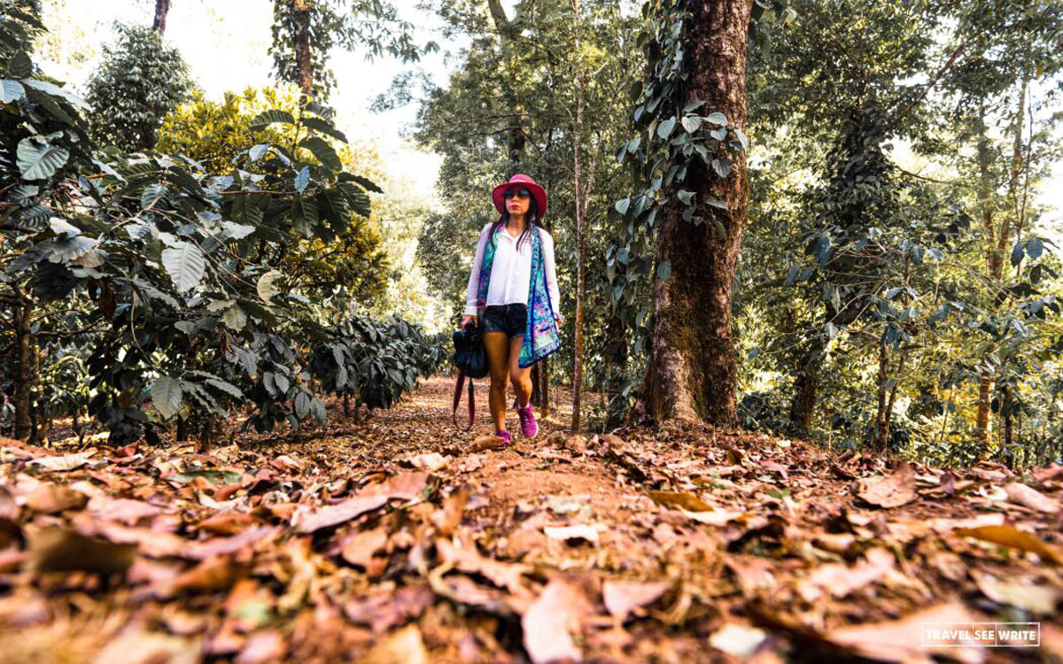 Coffee, Culture and Adventure: A Luxury Vacation with Coorg Wilderness Resort