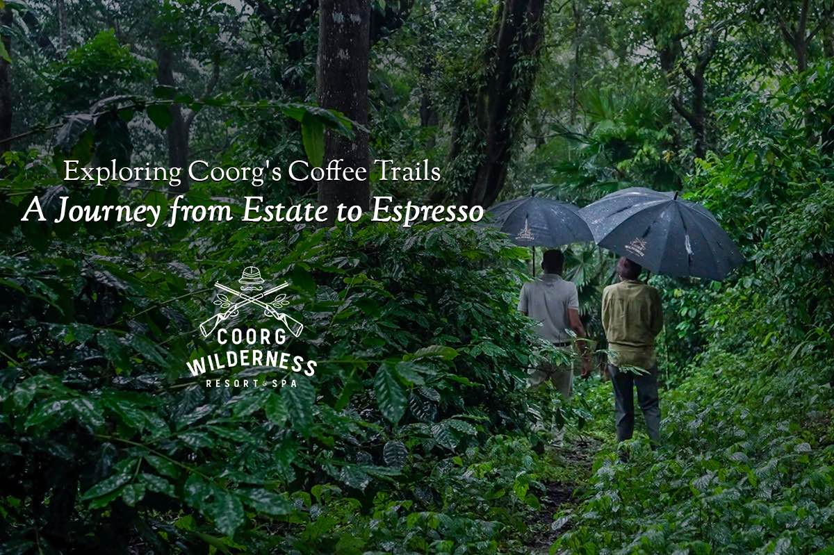 Exploring Coorg's Coffee Trails: A Journey from Estate to Espresso | Coorg Wilderness Resort & Spa