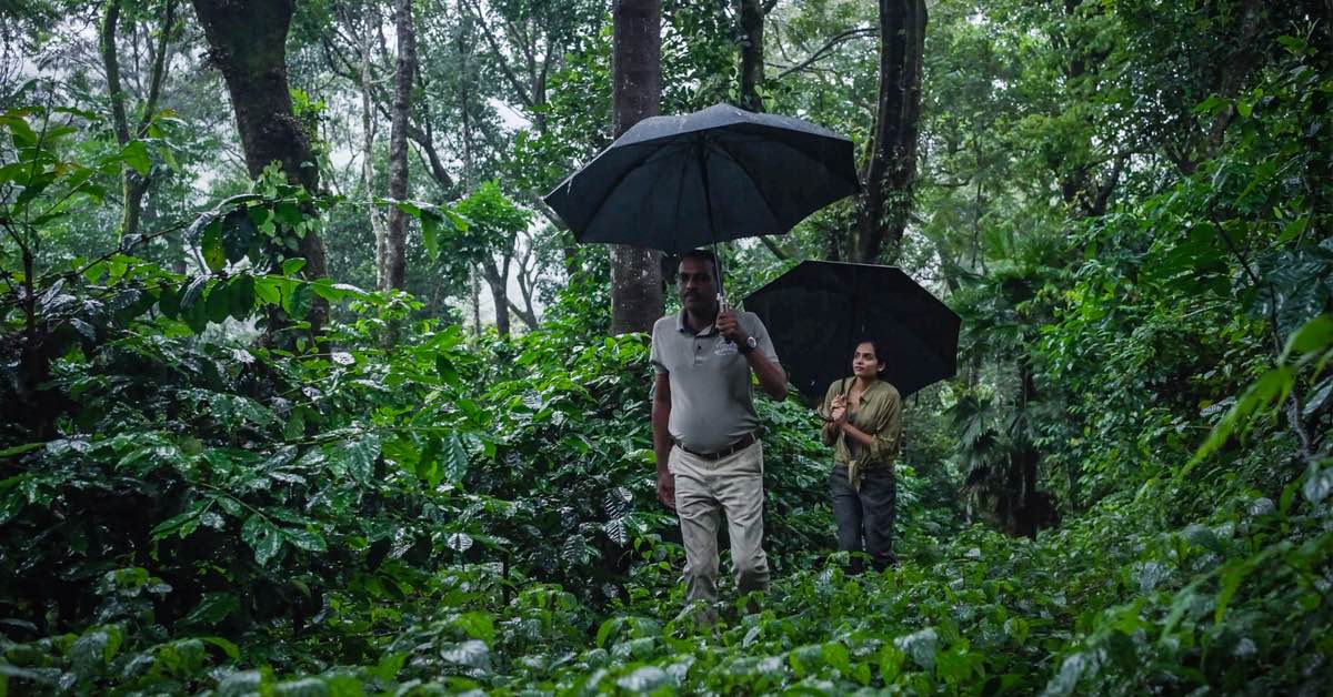 Guests exploring the lush forest at Coorg Wilderness Resort & Spa during the monsoon, accompanied by a resort guide with umbrellas.