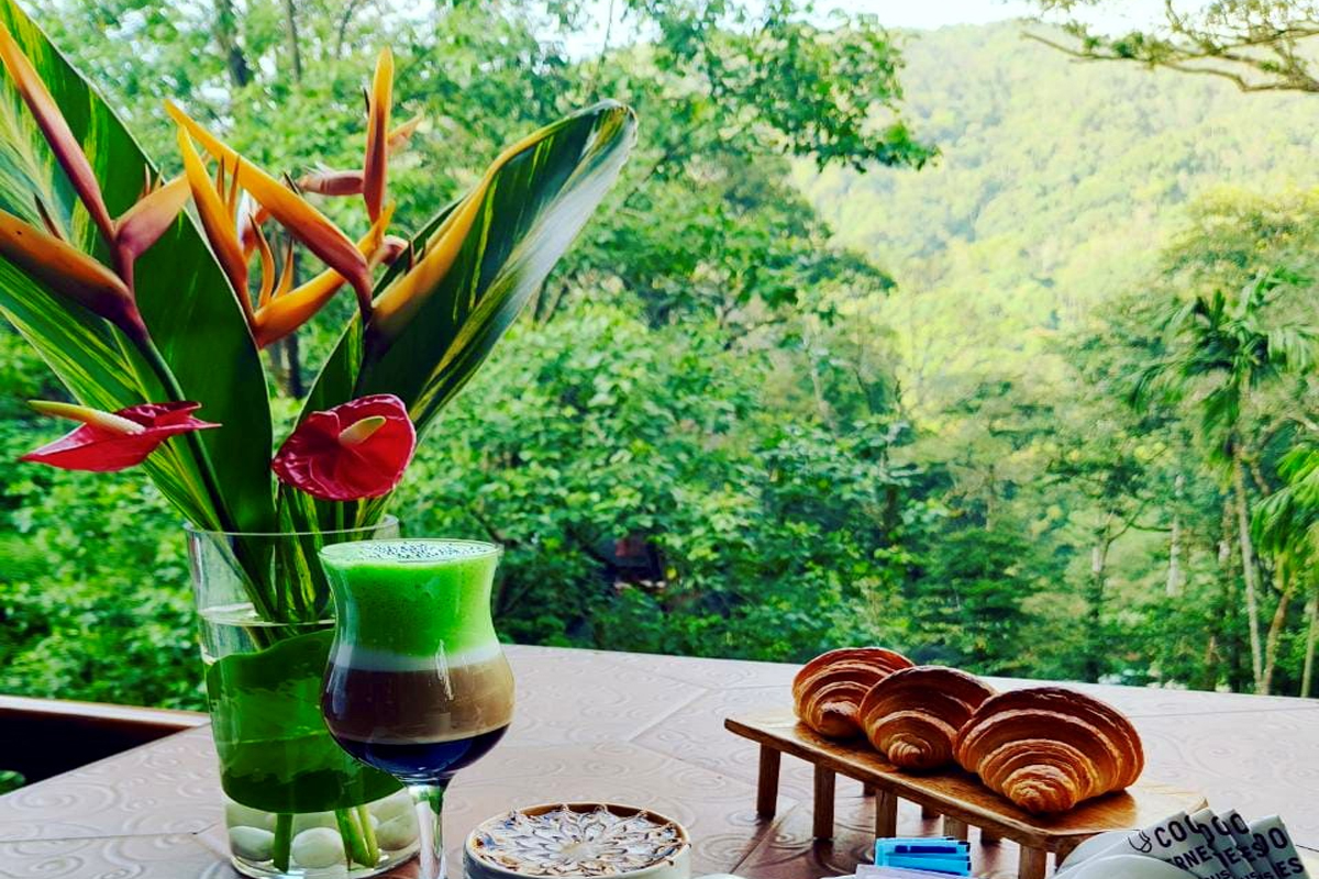 The Cupping Room, a Coffee Experience at Coorg Wilderness Resort