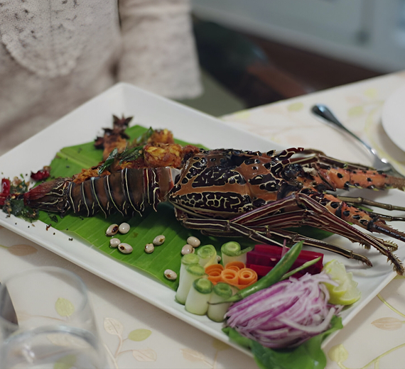 Nature's Haven Package