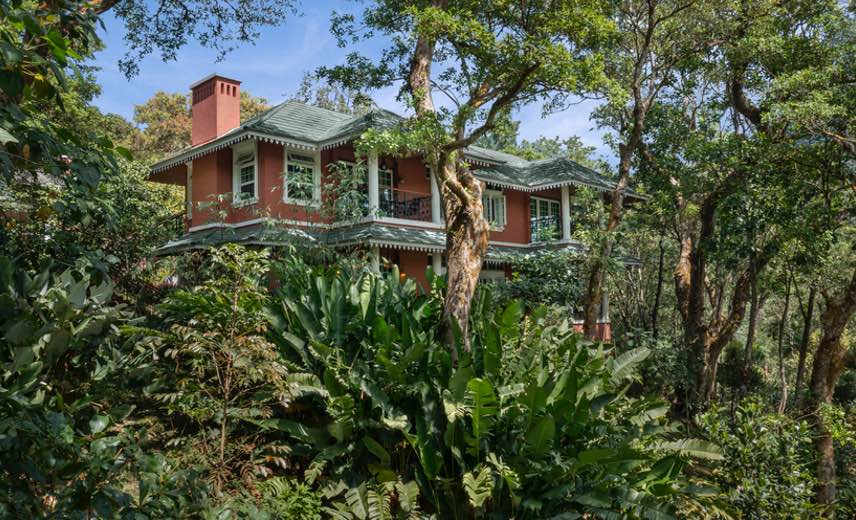 Stay Local, Experience Global