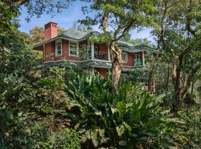 Stay Local, Experience Global