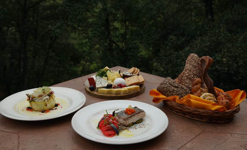 The Wilderness Indulgence