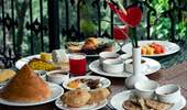 The Wilderness Indulgence
