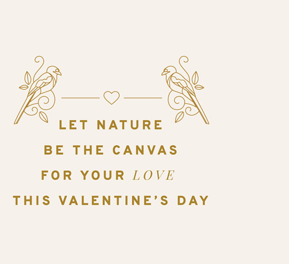 Coorg Wilderness Resort - Valentine's Day