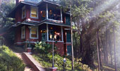 Wilderness Grove View Suite - Coorg Wilderness Resort & Spa